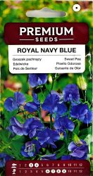 Sweet Pea Royal Navy Blue Seed